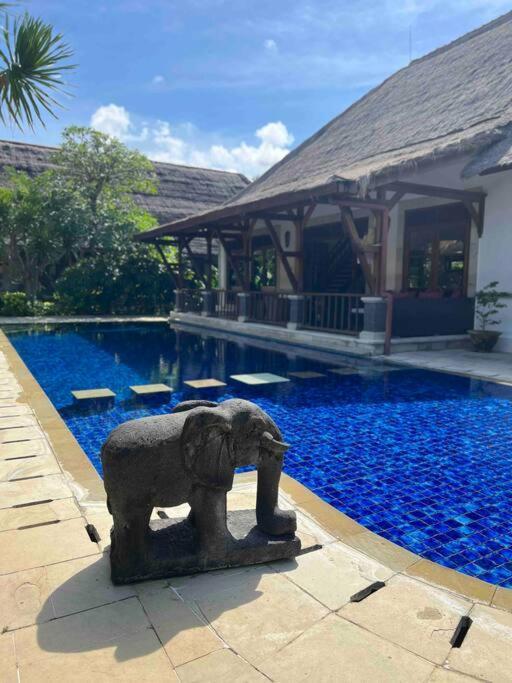 Bali Berg Villa, Sanur 外观 照片