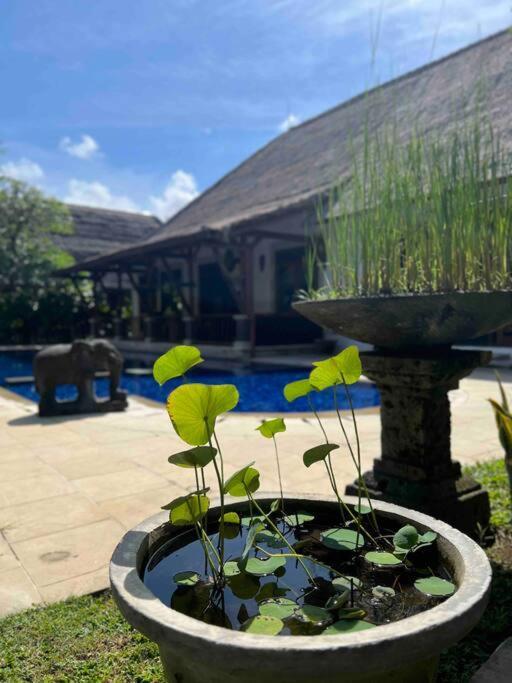 Bali Berg Villa, Sanur 外观 照片